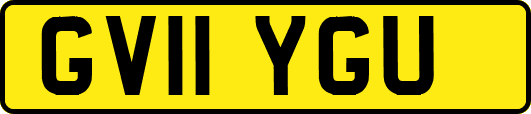 GV11YGU