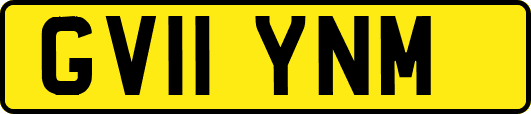 GV11YNM