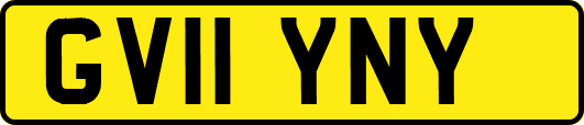 GV11YNY