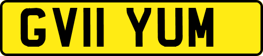 GV11YUM