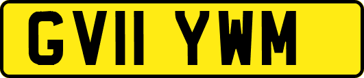 GV11YWM