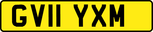 GV11YXM