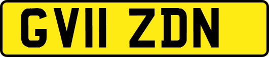 GV11ZDN