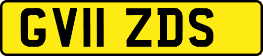 GV11ZDS