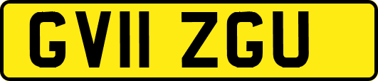 GV11ZGU