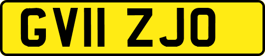 GV11ZJO