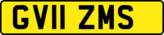 GV11ZMS