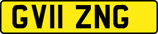 GV11ZNG
