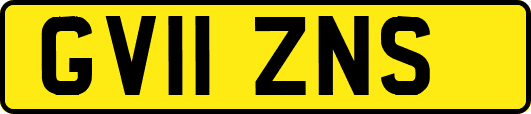 GV11ZNS
