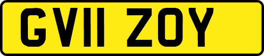 GV11ZOY
