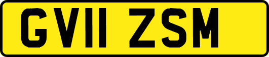 GV11ZSM