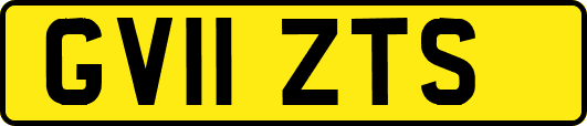 GV11ZTS