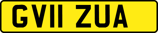 GV11ZUA