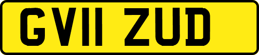 GV11ZUD