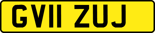 GV11ZUJ