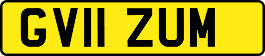 GV11ZUM