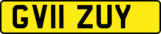 GV11ZUY
