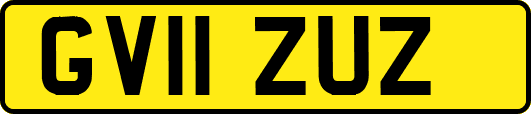 GV11ZUZ