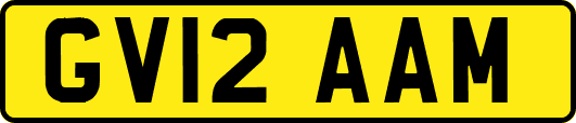 GV12AAM