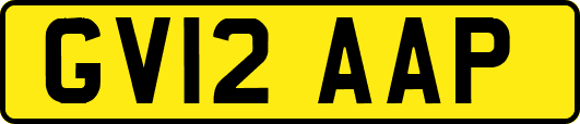 GV12AAP