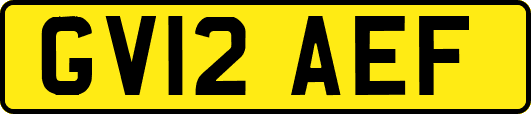 GV12AEF