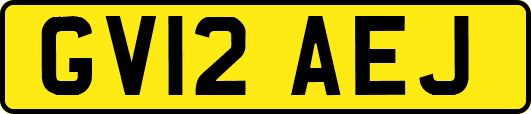 GV12AEJ