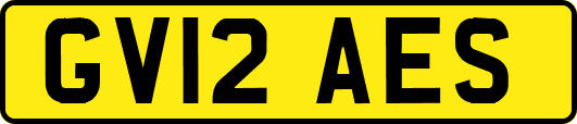 GV12AES