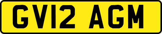 GV12AGM