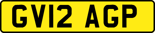 GV12AGP