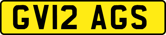 GV12AGS