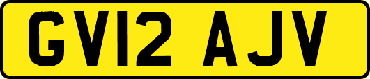 GV12AJV