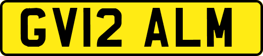 GV12ALM