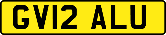 GV12ALU