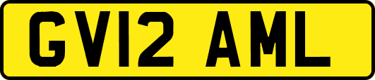 GV12AML