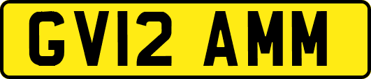 GV12AMM
