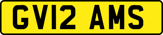 GV12AMS