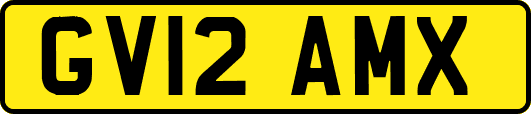 GV12AMX