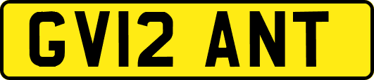 GV12ANT