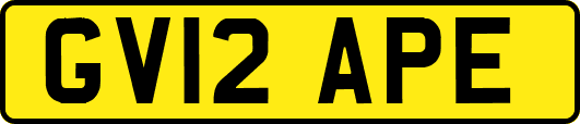 GV12APE