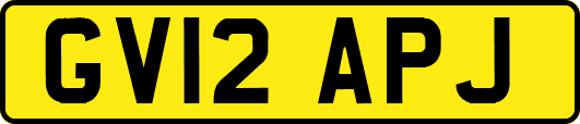 GV12APJ