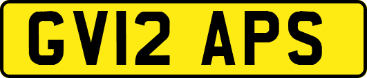 GV12APS