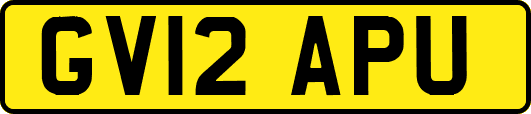 GV12APU