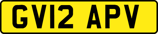 GV12APV