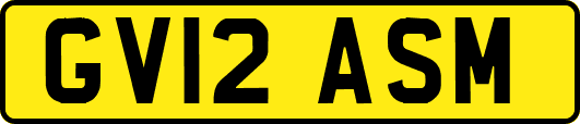 GV12ASM