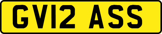 GV12ASS