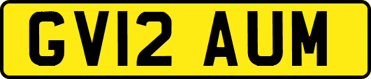 GV12AUM