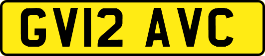 GV12AVC