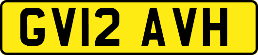 GV12AVH