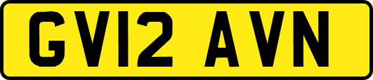 GV12AVN