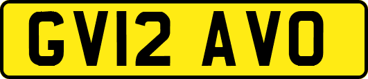 GV12AVO